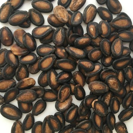 dried watermelon seeds